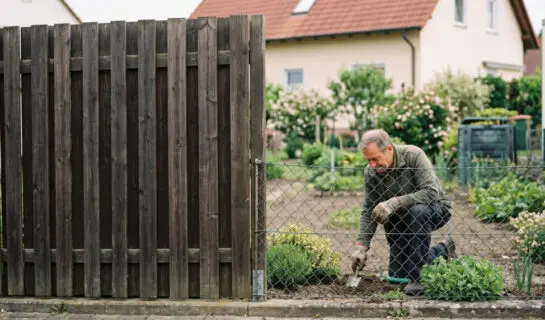 Zu hohe Zäune trotz vieler Verstöße: Gemeinde erzwingt Neubescheidung