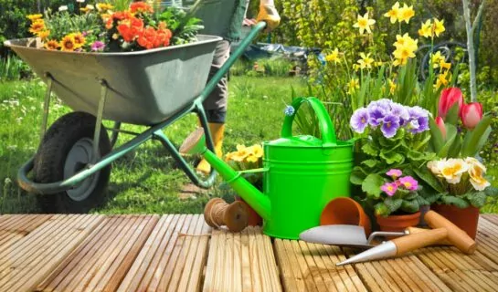 Baugrenzenüberschreitung durch Terrasse im Garten